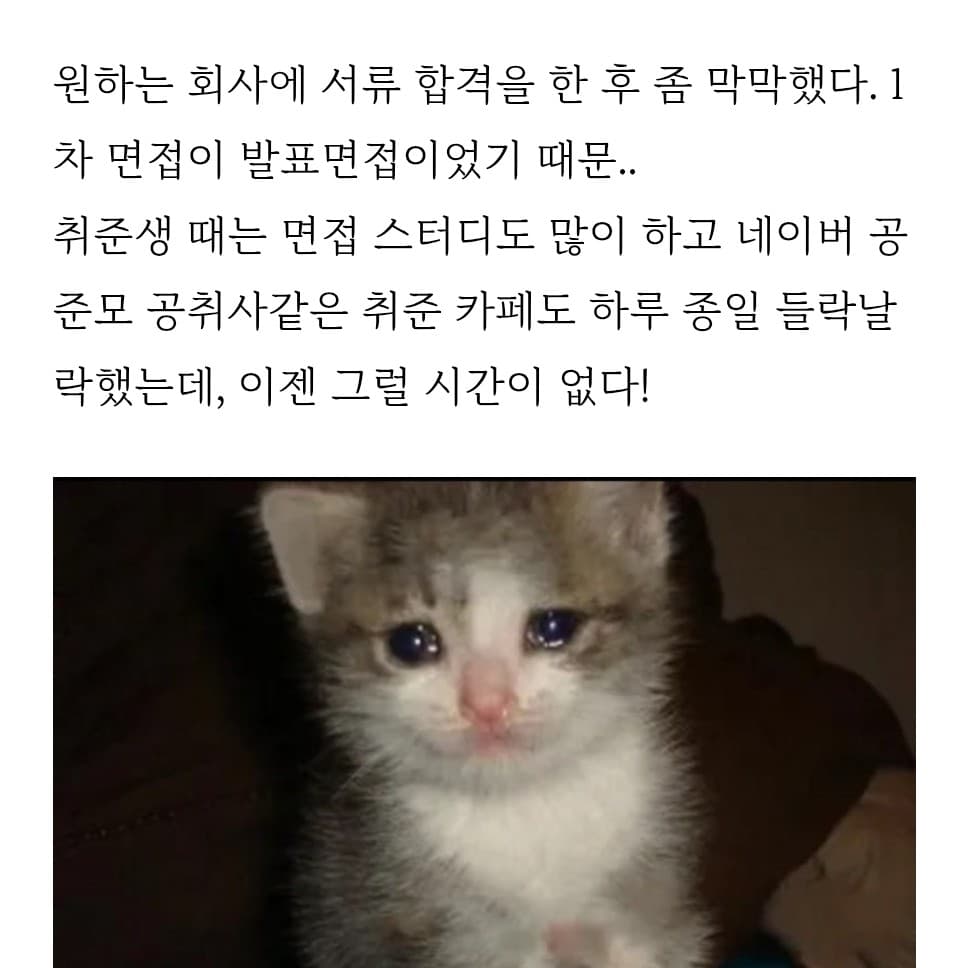 혼자 준비하는데 이게 맞는 답인지 모르겠어요