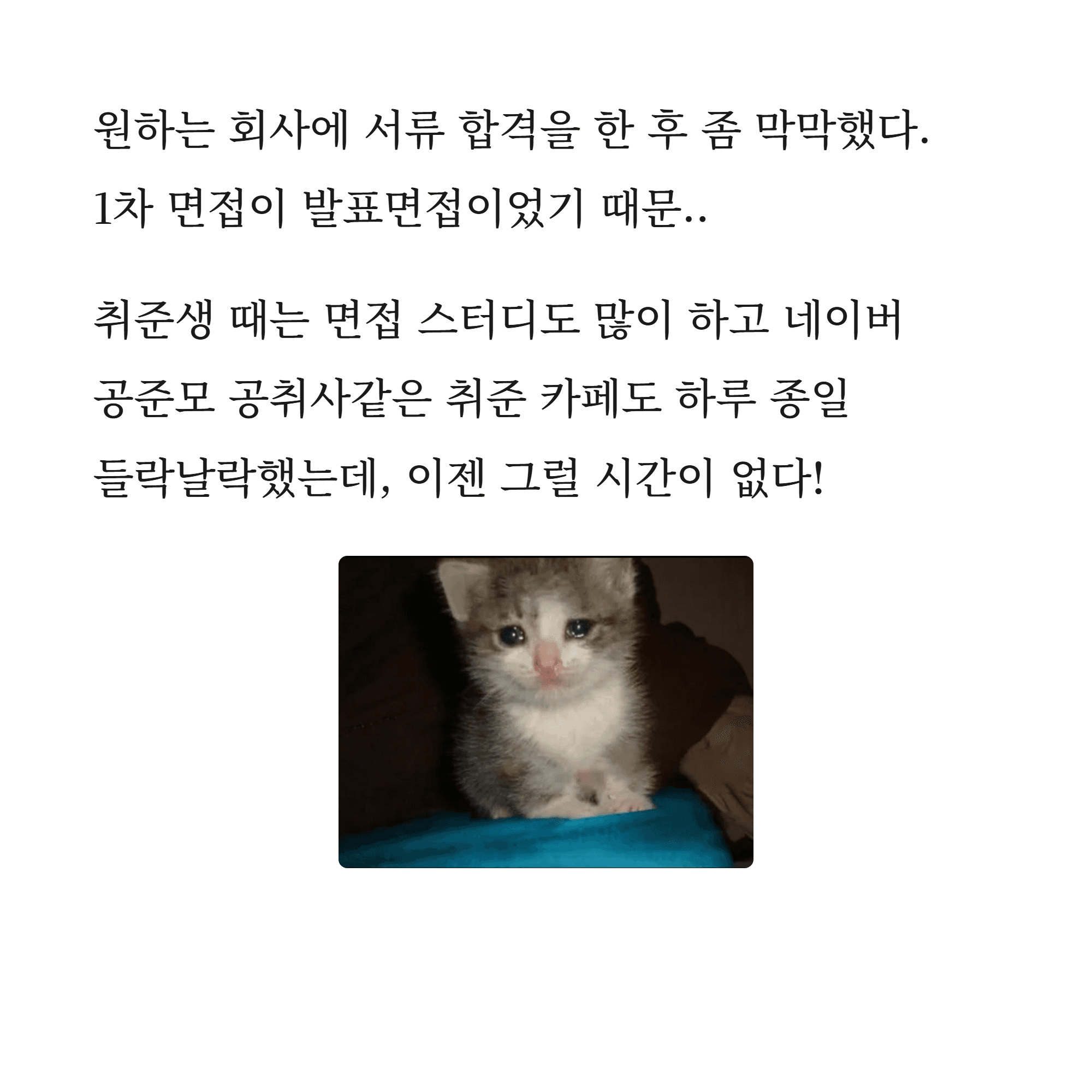 혼자 준비하는데 이게 맞는 답인지 모르겠어요